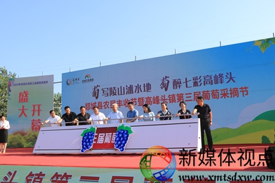 第三届葡萄采摘节 095.JPG