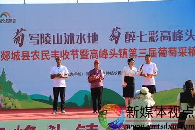 第三届葡萄采摘节 111.JPG