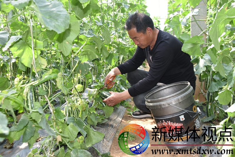 微信图片_20250507081743.jpg
