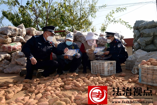 11月16日，枣庄市公安局山亭分局水泉派出所民辅警向在辖区倪山口村购销地瓜的群众开展反诈宣传，切实压降电诈案件的发生。.jpg