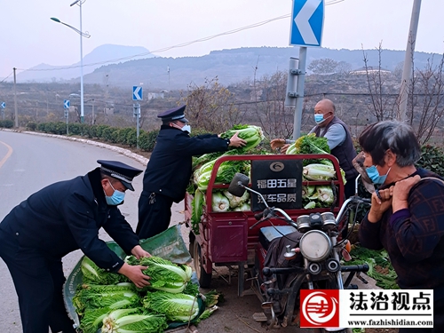 11月27日，枣庄市公安局山亭分局水泉派出所民辅警和村民一起装运收好的白菜。.jpg