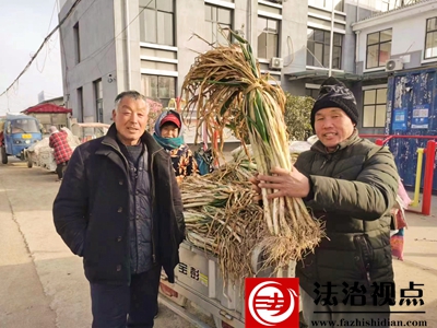 菜农陈贵祥展示自家种植的本地大葱.jpg