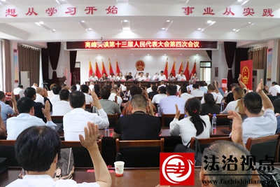 十三届人大四次会 063.JPG