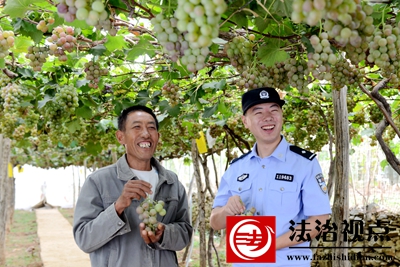 9月21日，山东省枣庄市公安局山亭分局北庄派出所民警向洪门村葡萄采摘园的果农宣讲防范电信诈骗常识，警民携手筑牢反诈“防火墙”。.jpg