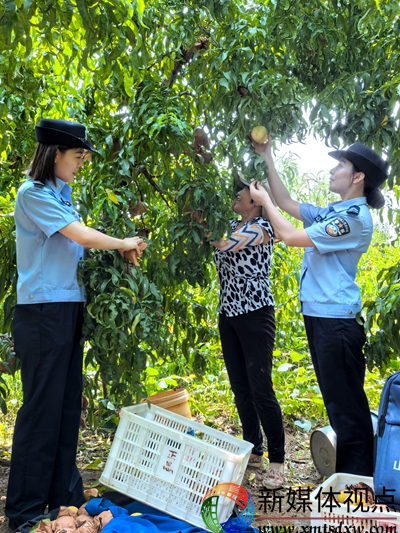 8月20日，枣庄市公安局山亭分局店子派出所民辅警深入乡村果园开展反诈、预防经济犯罪、户籍业务办理等宣传活动。.jpg